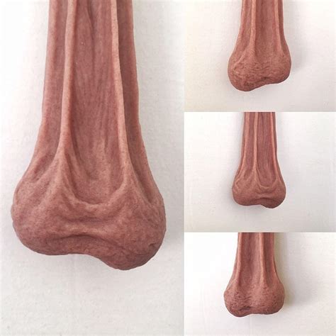 großer penis bild|File:Large human penis.jpg